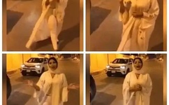 一仆二主百度影音